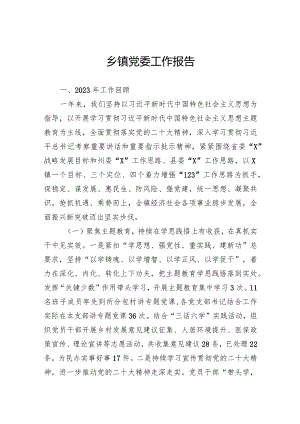 乡镇党委工作报告.docx