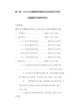 两篇：2024年主题教育专题民主生活会班子检视问题整改方案参考范文.docx