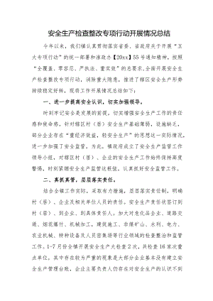 安全生产检查整改专项行动开展情况总结.docx