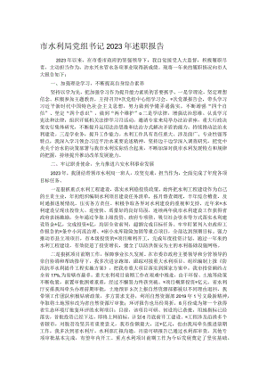 市水利局党组书记2023年述职报告.docx