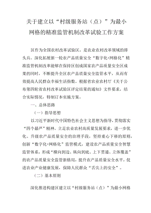 关于建立以“村级服务站（点）”为最小网格的精准监管机制改革试验工作方案.docx