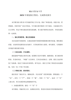 XX市第X中学202X年规划执行情况、完成情况报告（2024年）.docx