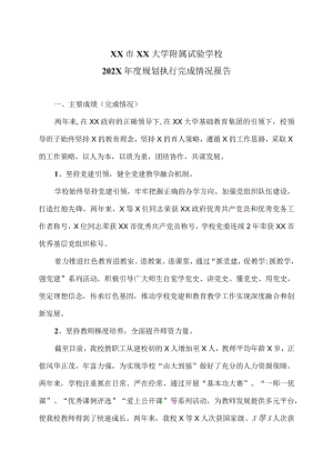 XX市XX大学附属试验学校202X年度规划执行完成情况报告（2024年）.docx