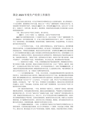 国企2023年度生产经营工作报告.docx