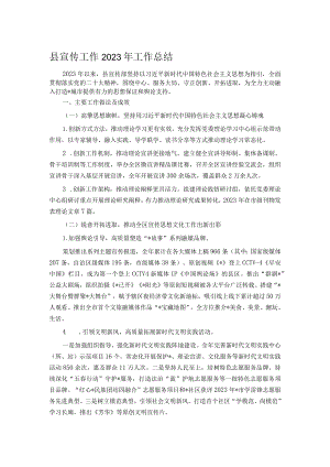 县宣传工作2023年工作总结.docx