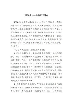 公司党委2024年党建工作要点精选(共四篇).docx