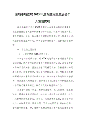 某城市城管局2023年度专题民主生活会个人发言提纲.docx