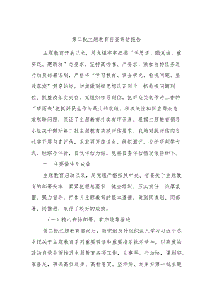 第二批主题教育自查评估报告.docx