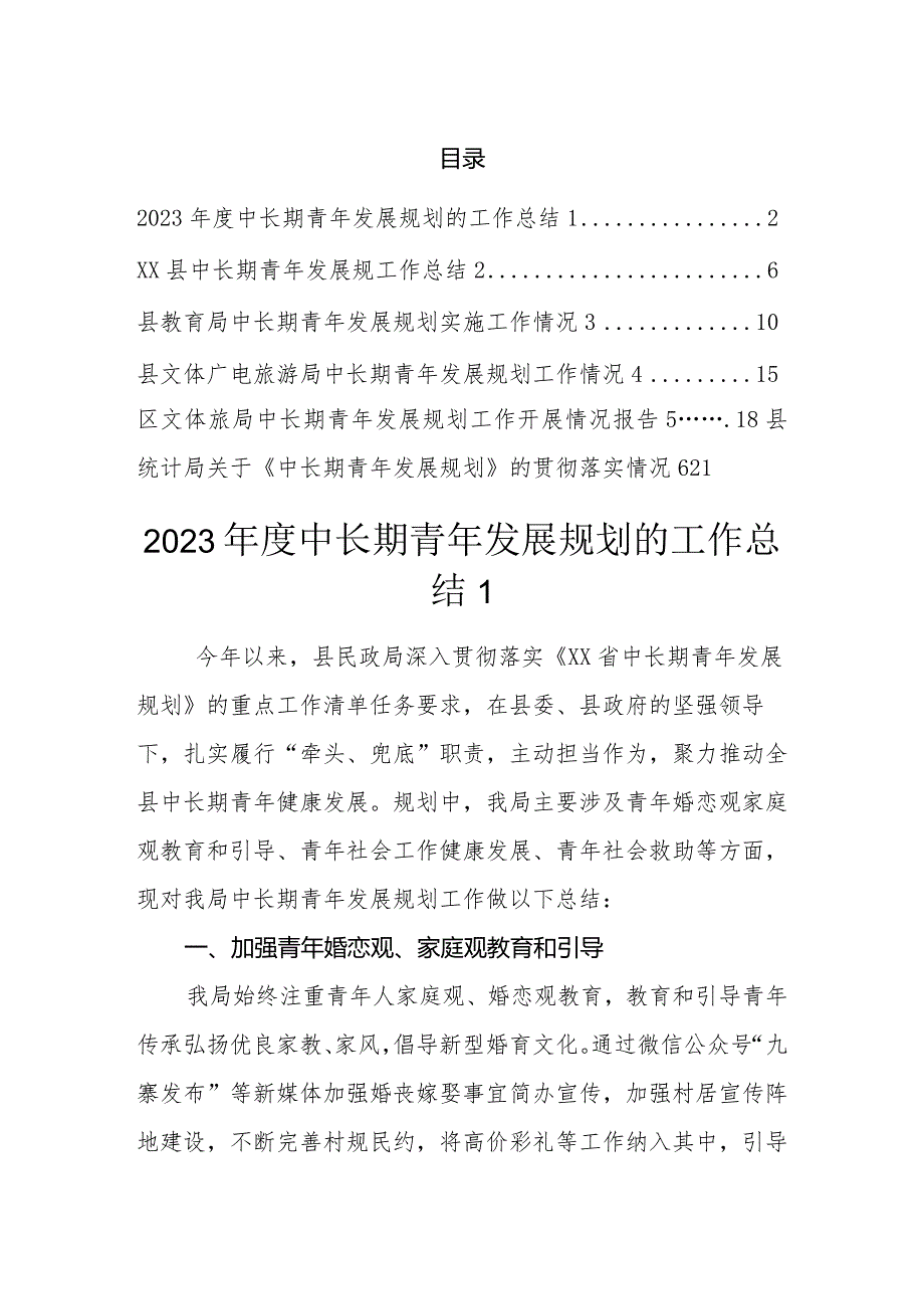 2023年度中长期青年发展规划工作汇报总结(6篇).docx_第1页