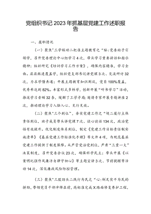 党组织书记2023年抓基层党建工作述职报告.docx