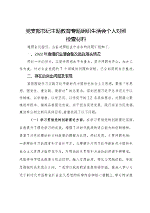 党支部书记主题教育专题组织生活会个人对照检查材料.docx