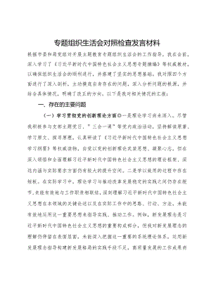 专题组织生活会对照检查发言材料.docx