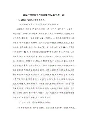 县医疗保障局工作总结及2024年工作计划.docx