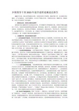 乡镇领导干部2023年述学述职述廉述法报告.docx