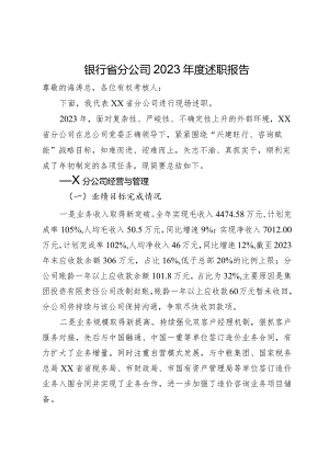 银行省分公司2023年度述职报告.docx