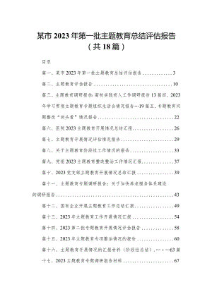 某市2023年第一批专题教育总结评估报告（共18篇）.docx