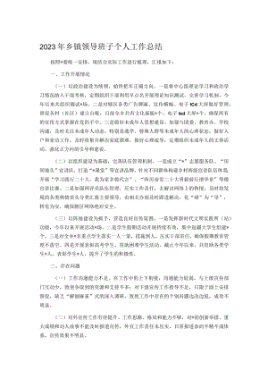 2023年乡镇领导班子个人工作总结.docx