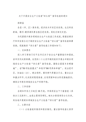关于开展安全生产大检查“回头看”督导检查的通知.docx
