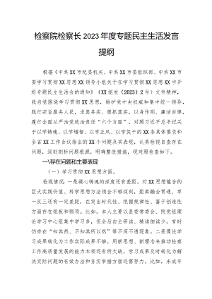 检察院检察长2023年度专题民主生活发言提纲.docx
