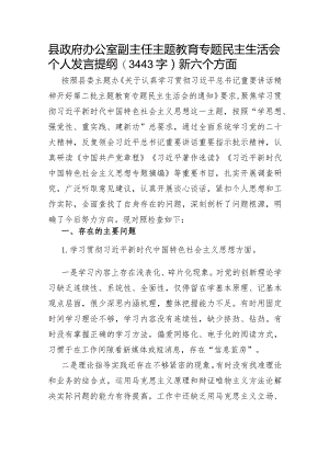 县政府办公室副主任主题教育专题民主生活会个人发言提纲（践行宗旨等6个方面）.docx
