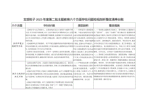 党支部班子2024年1月对照组织开展专题教育、执行上级组织决定、严格组织生活、加强党员教育管理监督等六个方面存在问题检视剖析整改清单台账.docx