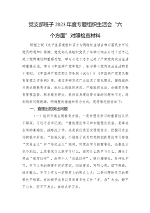 党支部班子2023年度专题组织生活会“六个方面”对照检查材料.docx