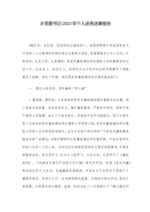 乡党委书记2023年个人述责述廉报告.docx