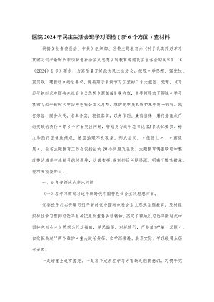 医院2024年民主生活会班子对照检（新6个方面）查材料.docx