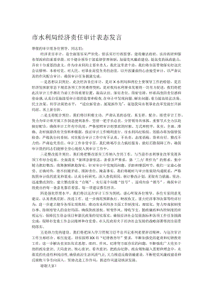 市水利局经济责任审计表态发言.docx