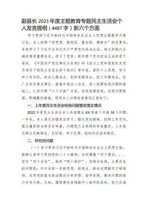 副县长2023年度主题教育专题民主生活会个人发言提纲（践行宗旨等6个方面）.docx