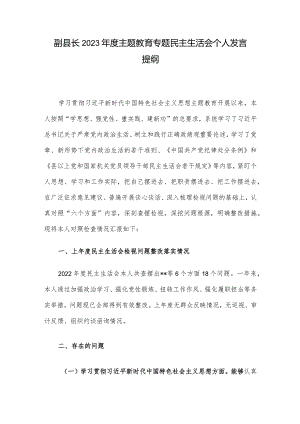 副县长2023年度主题教育专题民主生活会个人发言提纲.docx