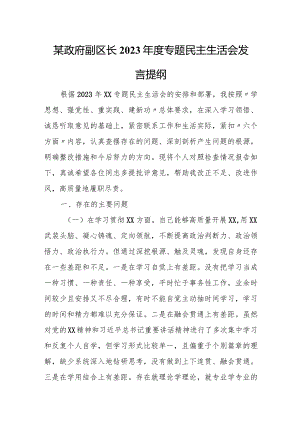 某政府副区长2023年度专题民主生活会发言提纲.docx