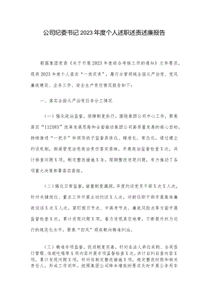 公司纪委书记2023年度个人述职述责述廉报告.docx