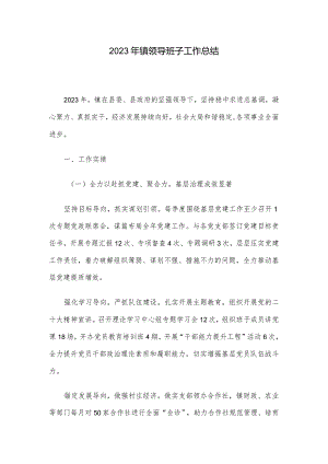 2023年镇领导班子工作总结.docx