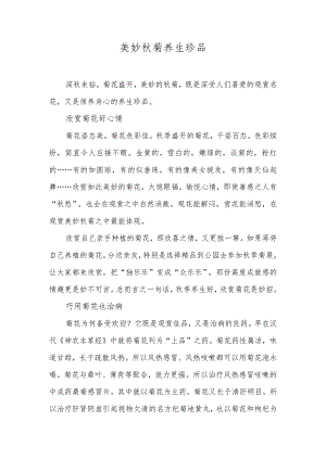 美妙秋菊养生珍品.docx