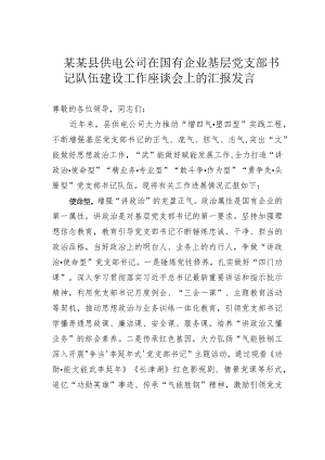 某某县供电公司在国有企业基层党支部书记队伍建设工作座谈会上的汇报发言.docx