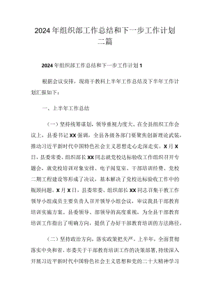 2024年组织部工作总结和下一步工作计划三篇.docx