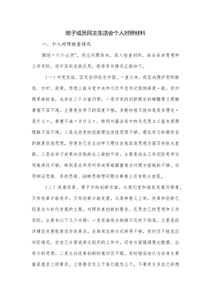 班子成员民主生活会个人对照材料.docx