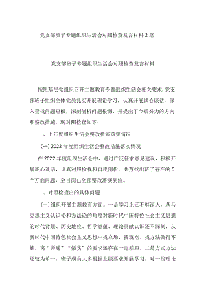 党支部班子专题组织生活会对照检查发言材料2篇.docx