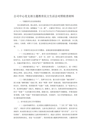 公司中心党支部主题教育民主生活会对照检查材料.docx