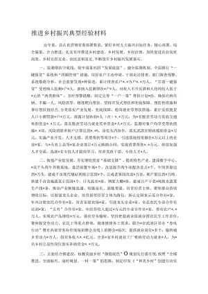 推进乡村振兴典型经验材料.docx