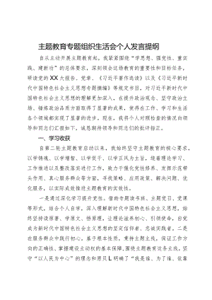 主题教育专题组织生活会个人发言提纲.docx