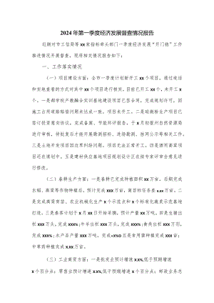 2024年第一季度经济发展督查情况报告.docx