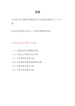 国企公司党支部班子围绕组织开展教育、执行上级组织决定、严格组织生活、加强党员教育管理监督、联系服务群众、抓好自身建设等六个方面对.docx