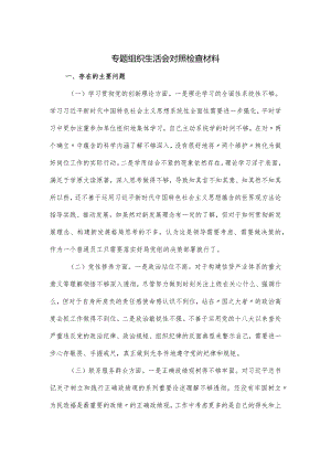 专题组织生活会对照检查材料.docx