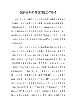 某乡镇2023年度党建工作总结.docx