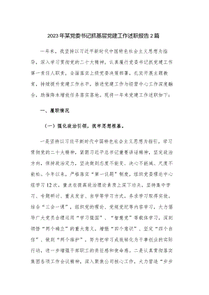 2023年某党委书记抓基层党建工作述职报告2篇.docx