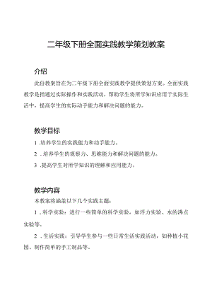 二年级下册全面实践教学策划教案.docx