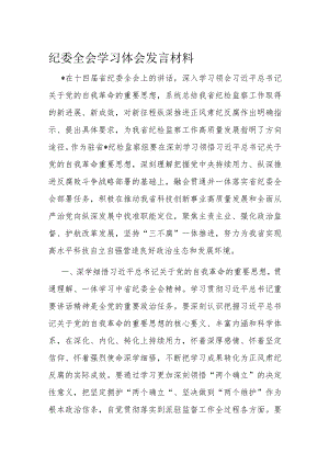 纪委全会学习体会发言材料.docx