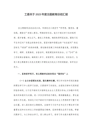 工委关于2023年度主题教育总结汇报.docx